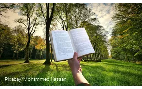 Buch und Natur