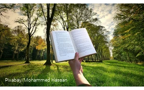 Buch und Natur