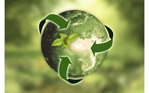 nature-gaf91bd6c7_1920_Stefan Schweihofer.jpg