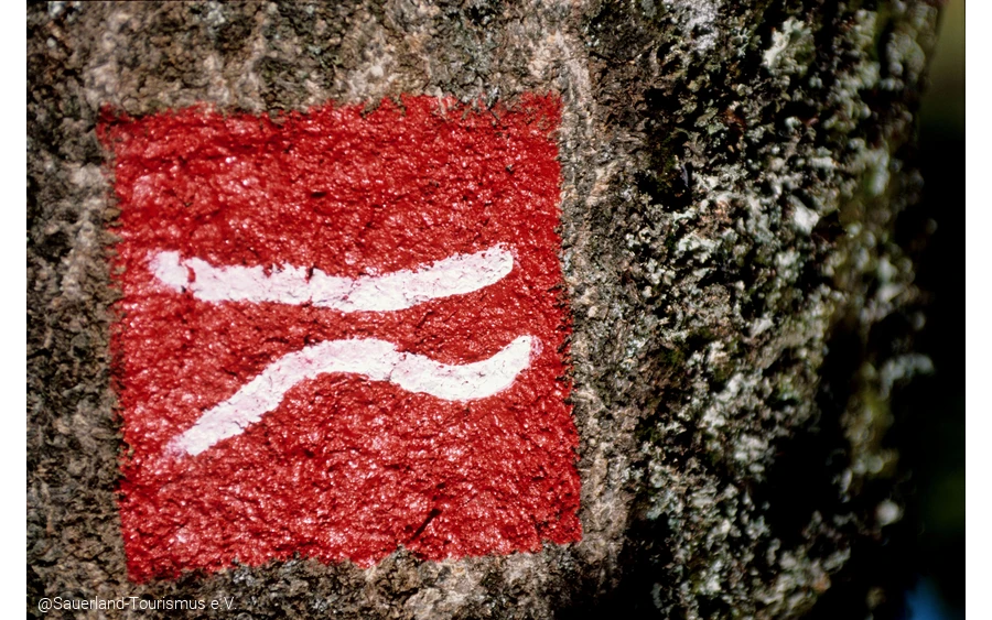 Markierungszeichen Rothaarsteig