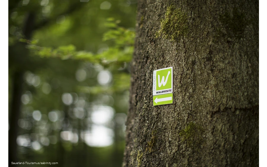 Markierungszeichen Sauerland-Waldroute