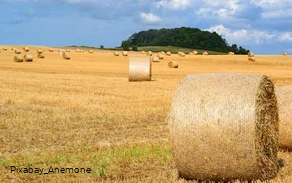 Stroh Rundballen Landleben
