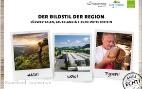 Bildstilmanual