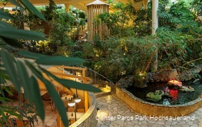 Das Schwimmbad Aqua Mundo wirkt durch die vielen Pflanzen wie ein Jungel. Links ist ein Teil des Gastronomiebereichs zu sehen.