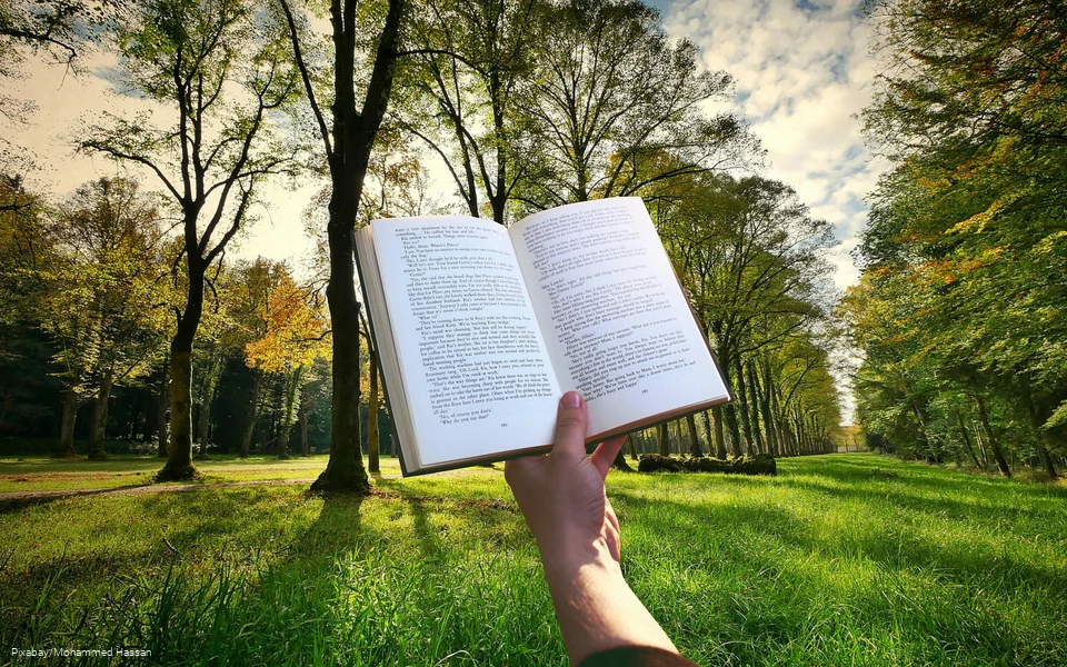 Buch und Natur