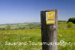 Symbolbild Sauerland-Höhenflug