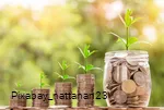Geld Grünpflanze