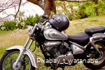 Motorrad im Grünen