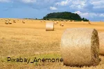 Stroh Rundballen Landleben