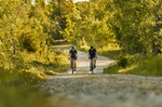 Gravel_Paul-Masukowitz_web.jpg