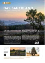 Advertorial