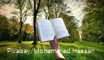 Buch und Natur