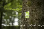 Markierungszeichen Sauerland-Waldroute