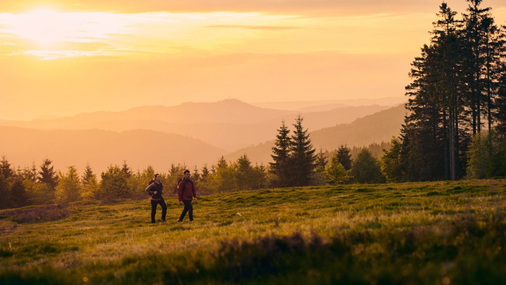 Der Rothaarsteig wird zum ersten klimaresilienten und nachhaltigen Fernwanderweg Deutschlands.
